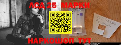 spice Бийск