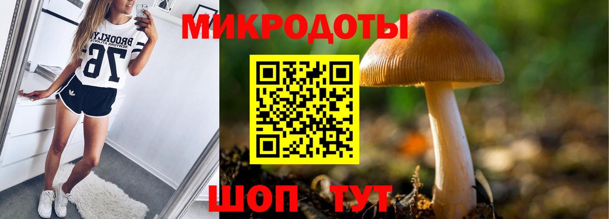 Псилоцибиновые грибы Cubensis Кирово-Чепецк